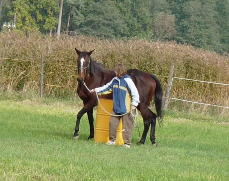 19 - říjen 2009