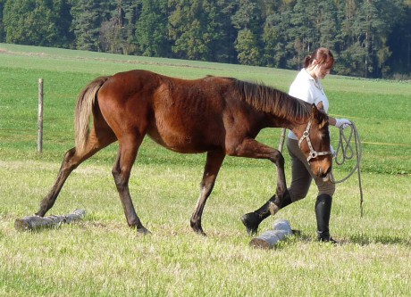 01 - říjen 2009