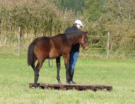 03 - říjen 2009