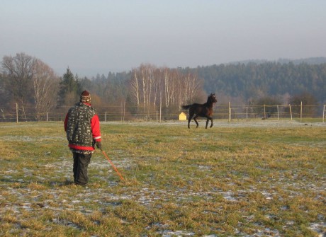 02 - prosinec 2007