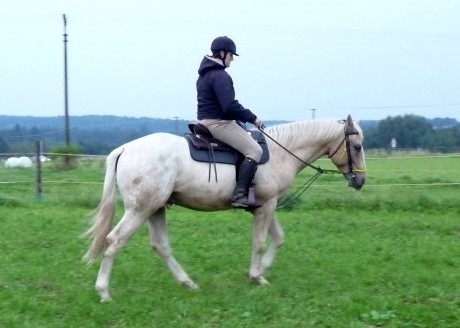39 - září 2010