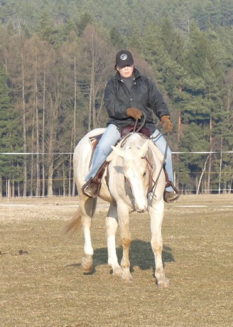 45 - březen 2011