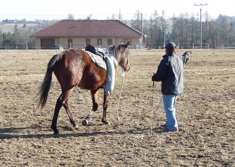 40 - březen 2011