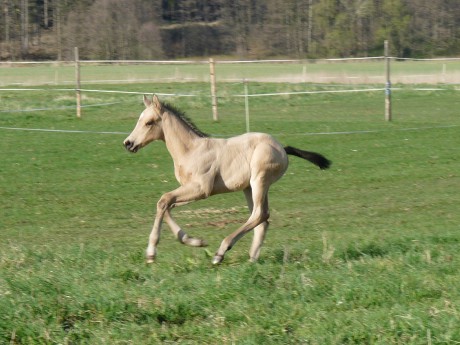 květen 2012