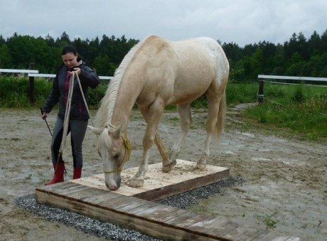 Seznamka v neděli 18.5.2014 004