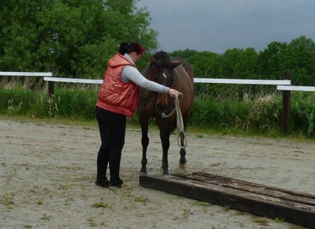 Seznamka v neděli 18.5.2014 005