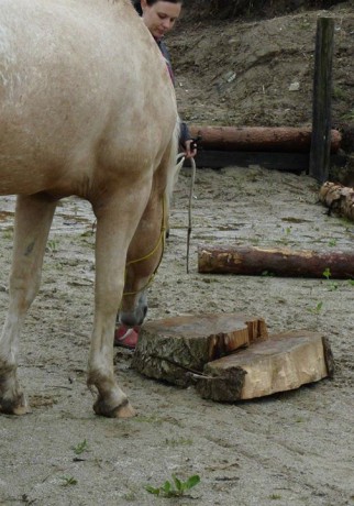 Seznamka v neděli 18.5.2014 024