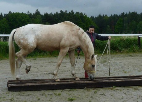 Seznamka v neděli 18.5.2014 026