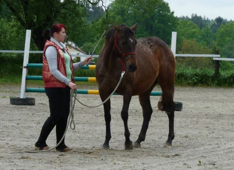 Seznamka v neděli 18.5.2014 033