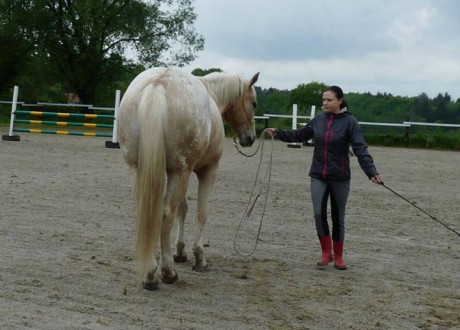 Seznamka v neděli 18.5.2014 035