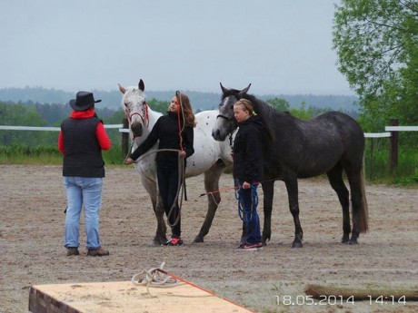 Seznamka v neděli 18.5.2014 038