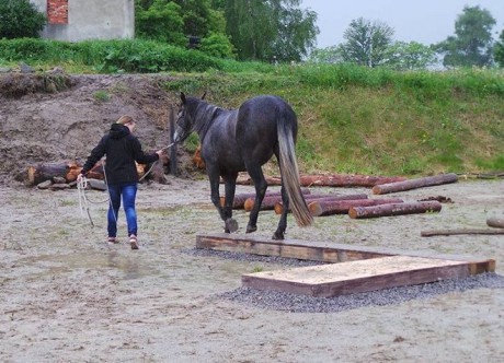 Seznamka v neděli 18.5.2014 042