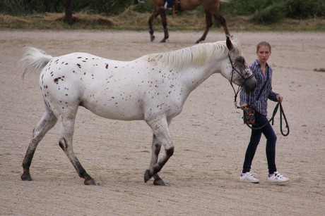 při nástupu