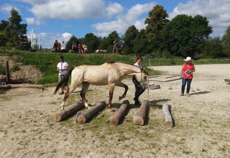 malé klády a soutěž juniorů a mladých koní