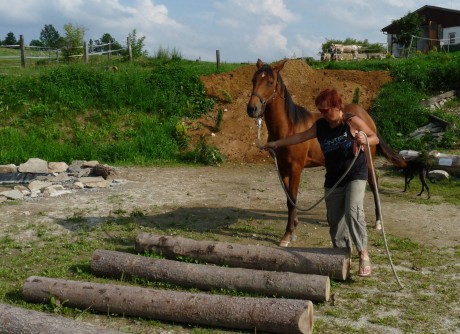 Vodorovné klády na první pokus