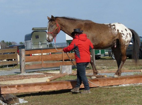 Extreme Trail Úchozí - tréninky 28.3.2015 018