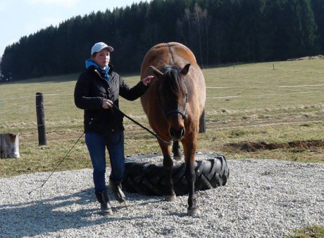 Extreme Trail Úchozí - tréninky 28.3.2015 027