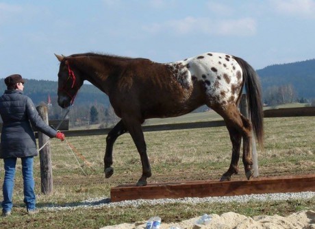 Extreme Trail Úchozí - tréninky 28.3.2015 029