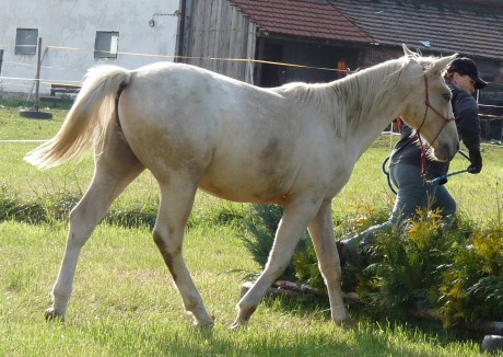 Ecola Cup 2009 - Blonďák 5