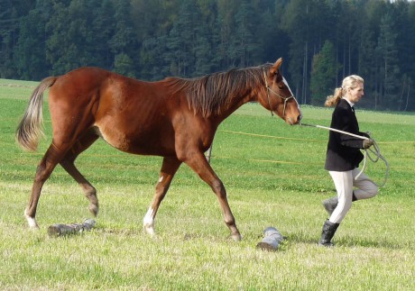 61 - říjen 2009