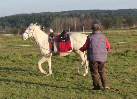 17 - listopad 2009