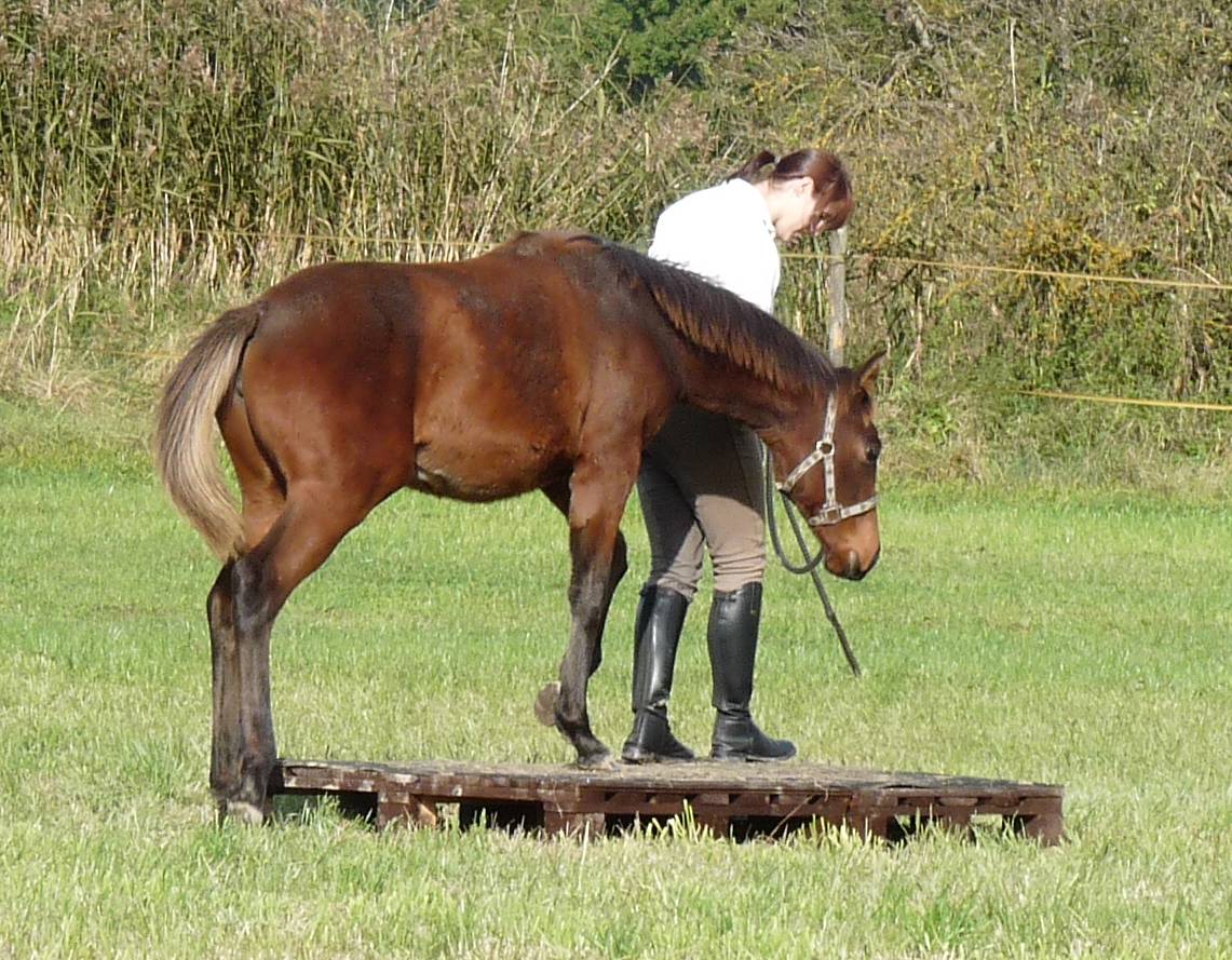 02 - říjen 2009