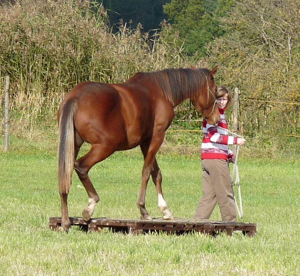 15 - říjen 2009