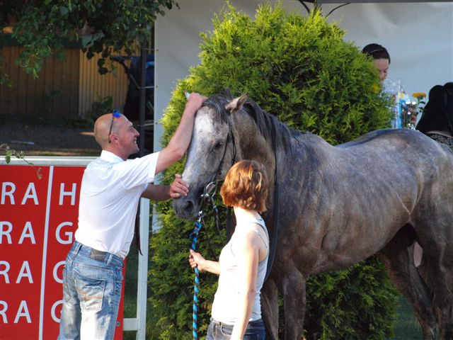 65 - červen 2010