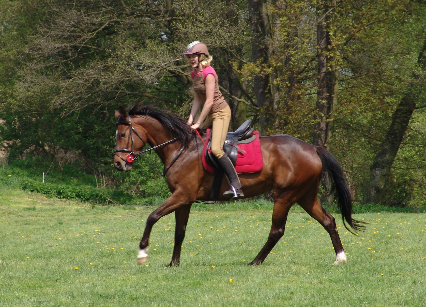 80 - květen 2010