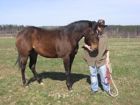 16 - konec března 2008