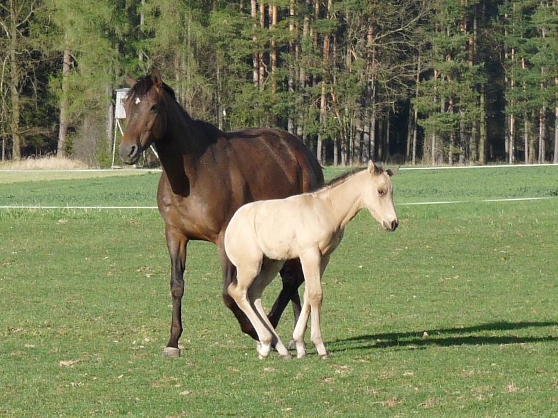 květen    2012