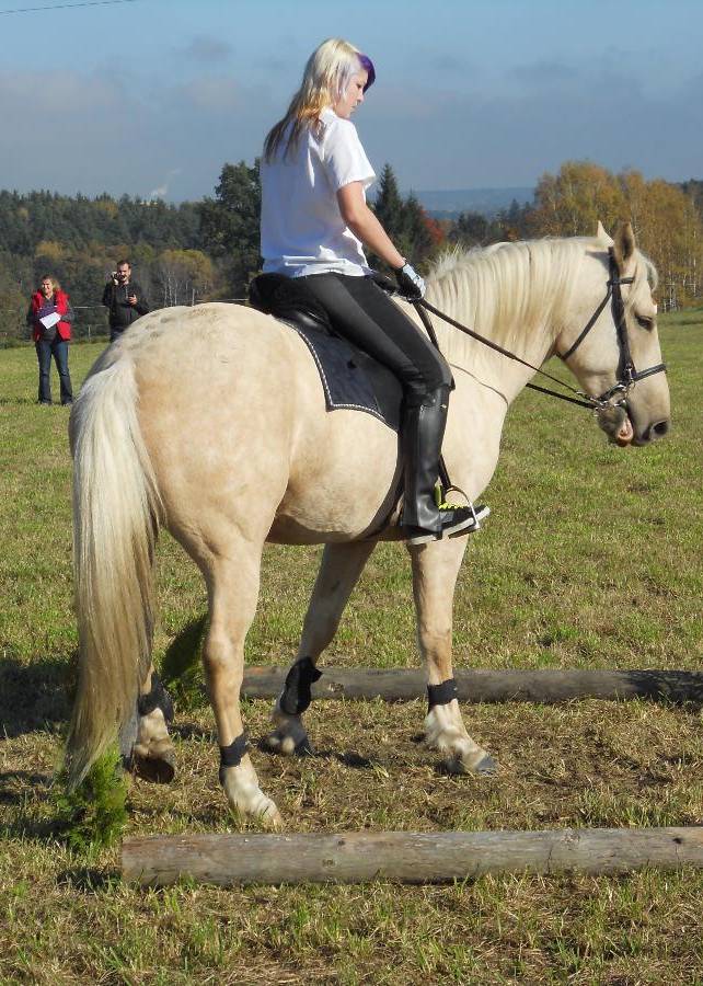 DSCN1637