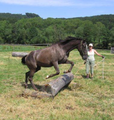 31 - červenec 2008