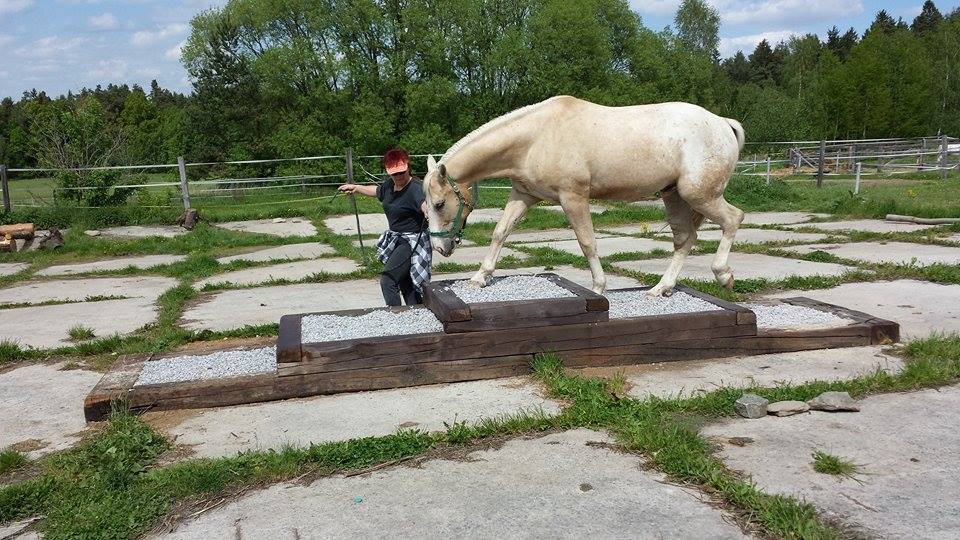 Texas Step - zatěžkávací zkouška :-)