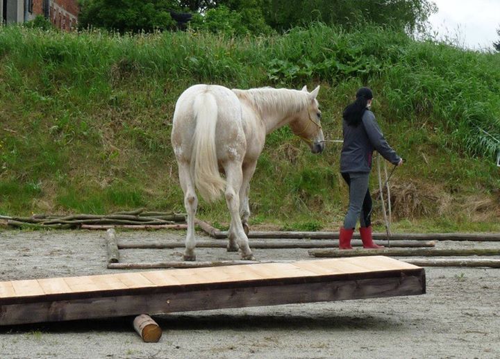 Seznamka v neděli 18.5.2014 009