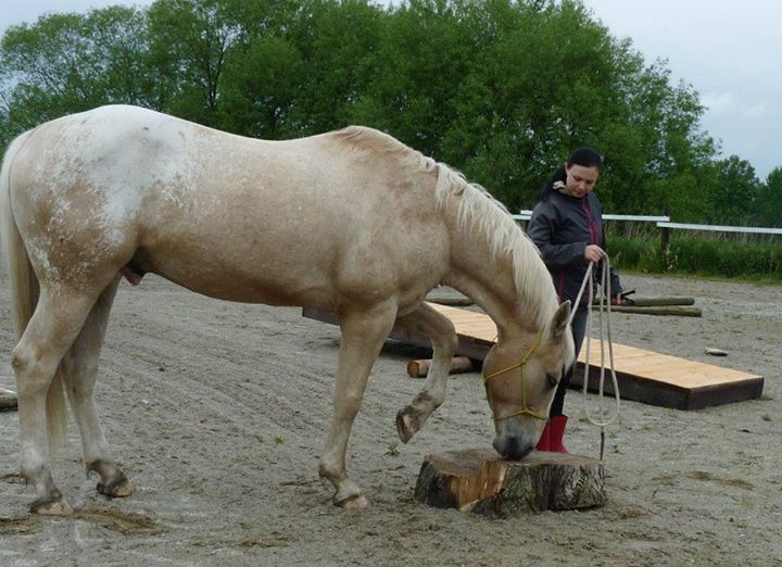 Seznamka v neděli 18.5.2014 023