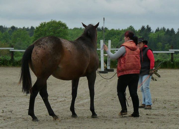 Seznamka v neděli 18.5.2014 032