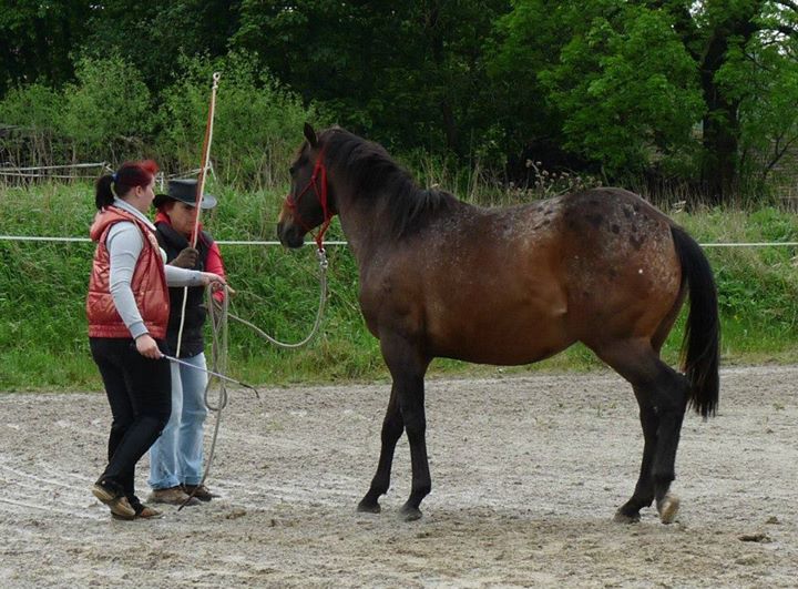 Seznamka v neděli 18.5.2014 034