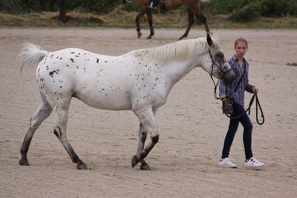 při nástupu