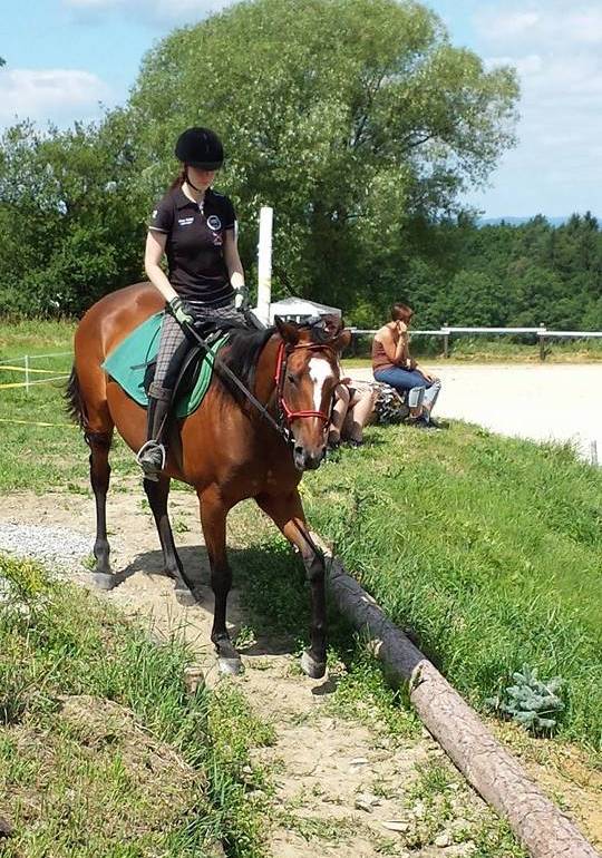 serpentýny - 1.zatáčka odshora