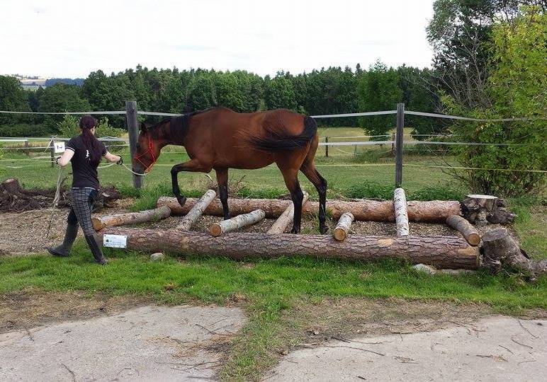 a opět zvýšené cik-cak klády