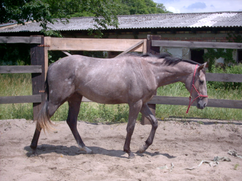 11 - červenec 2007 Mimoň