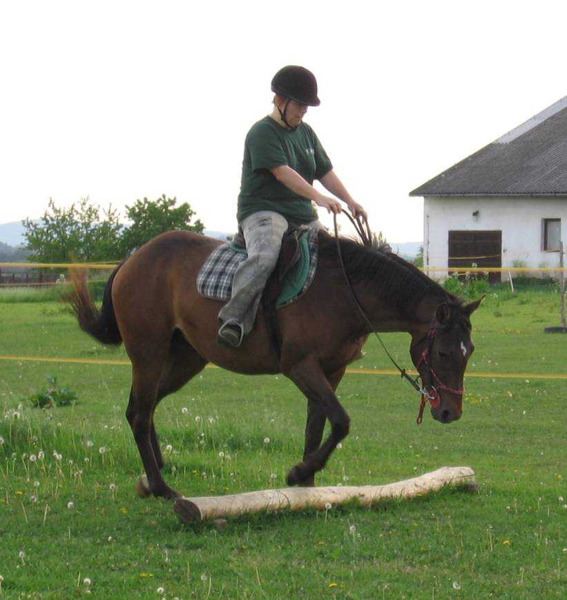 77 - květen 2009