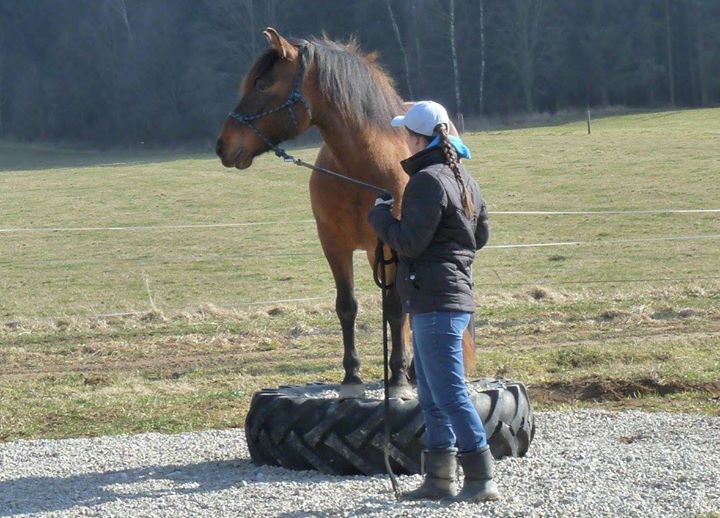 Extreme Trail Úchozí - tréninky 28.3.2015 026