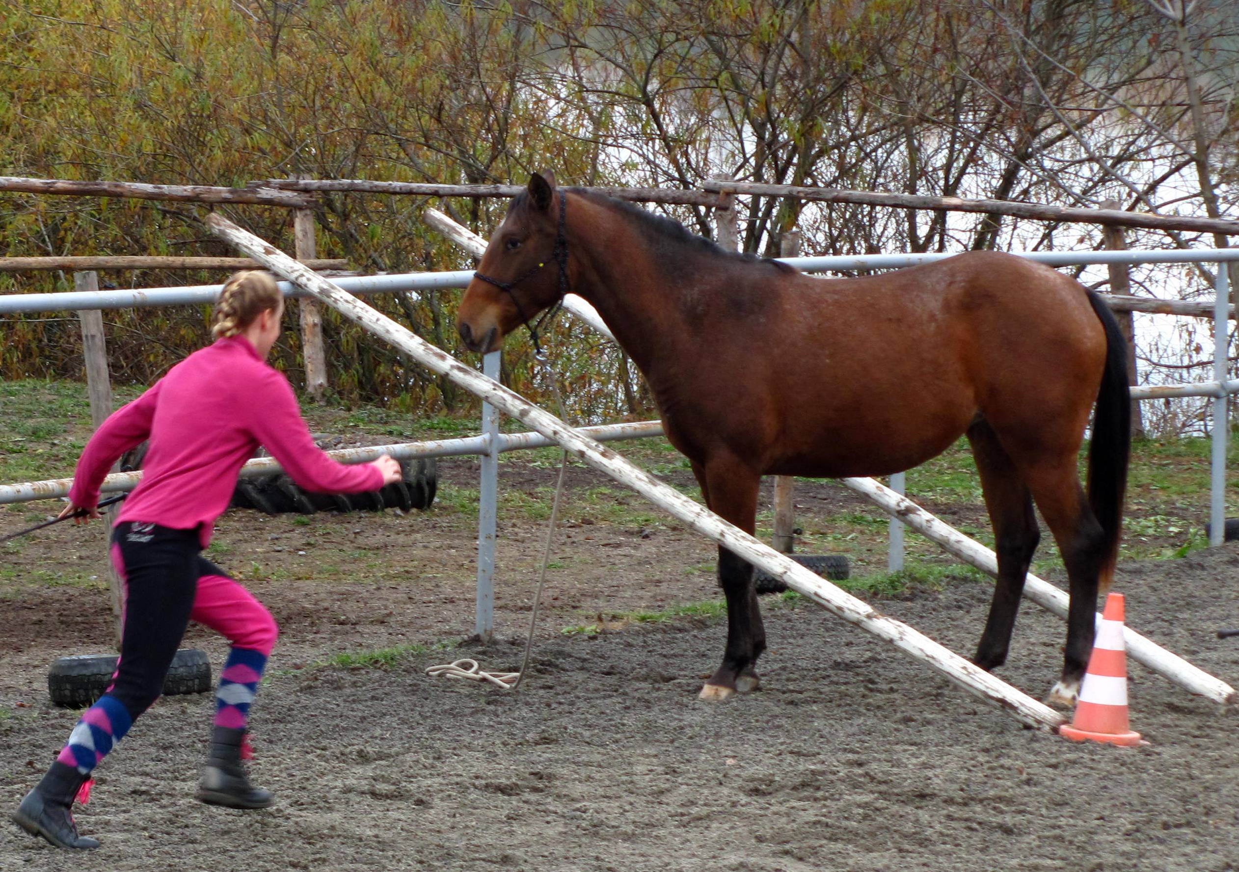 Závody v trailu na ruce - úloha "odložení" 7.11.2015