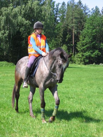 56 - červen 2009
