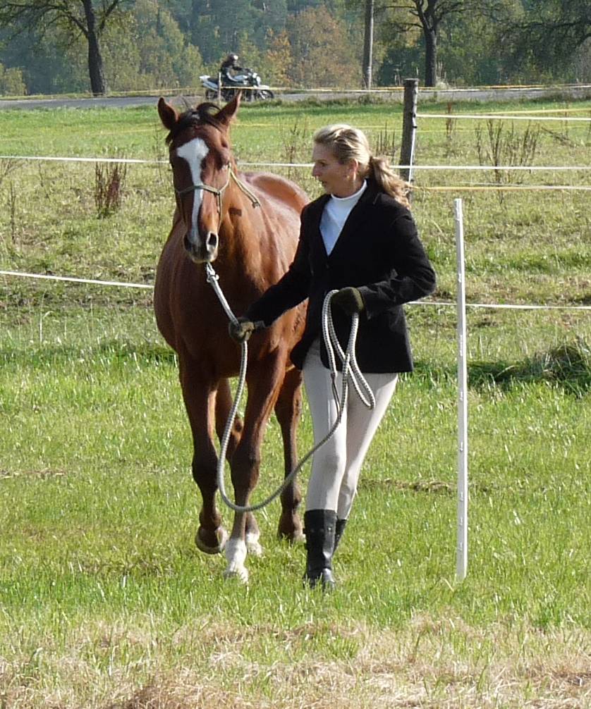 Ecola Cup 2009 - Mašín 4