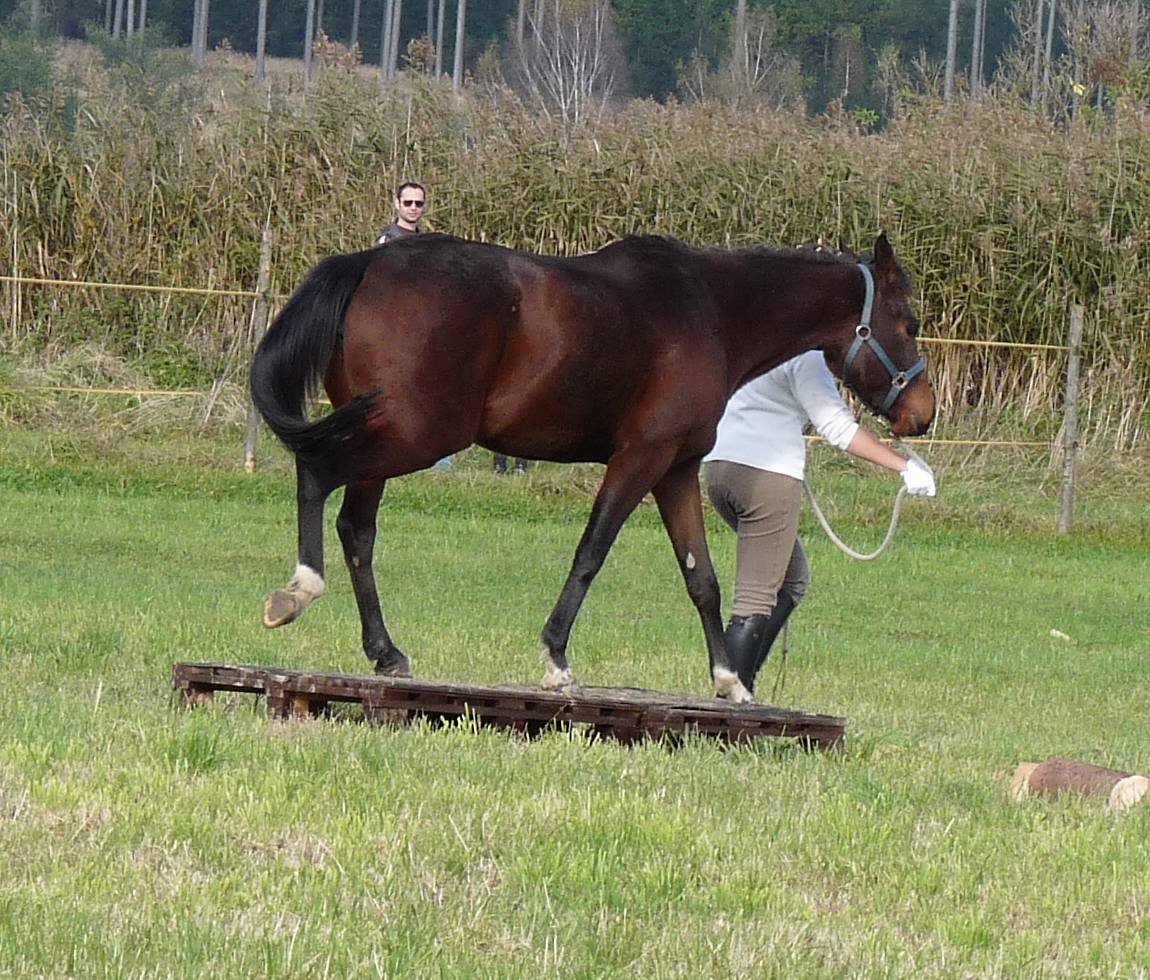 Ecola Cup 2009 - Božena 1