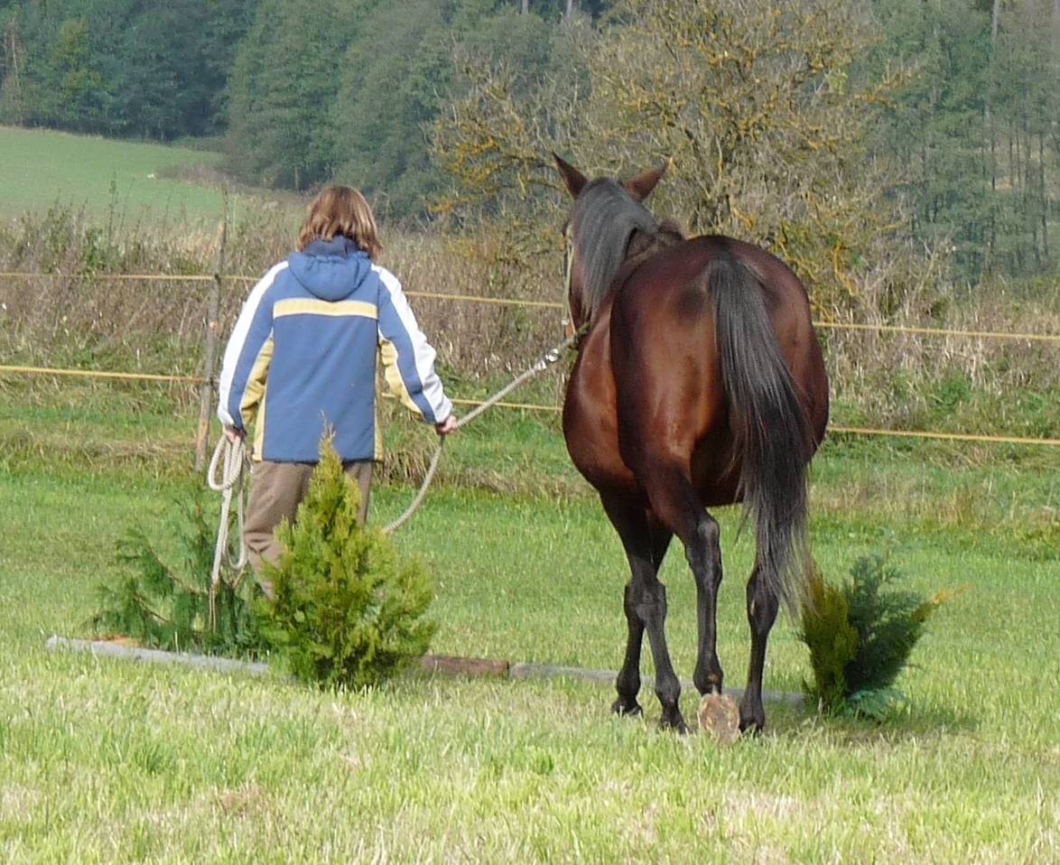 Ecola Cup 2009 - Ecola 01