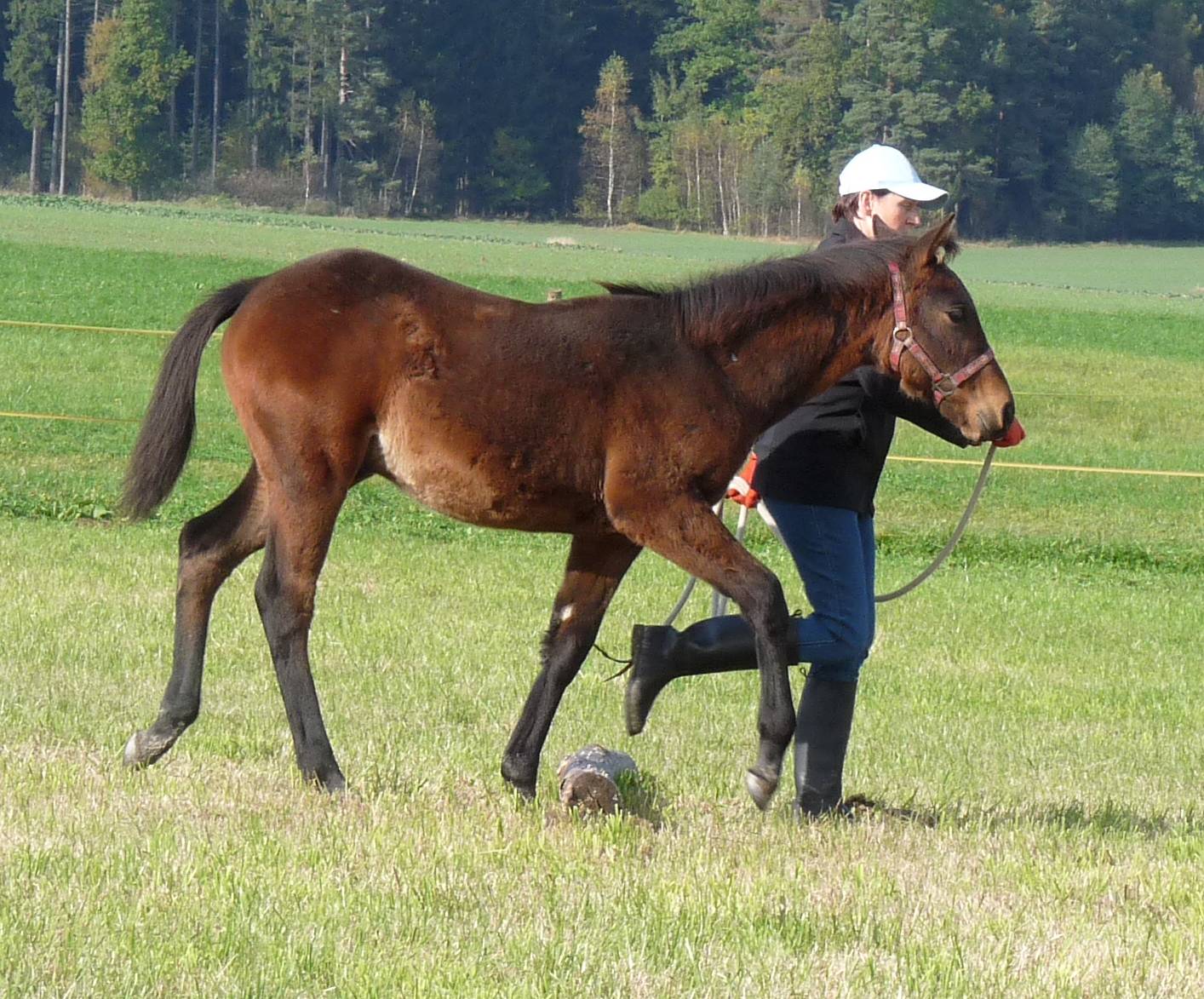 35 - říjen 2009